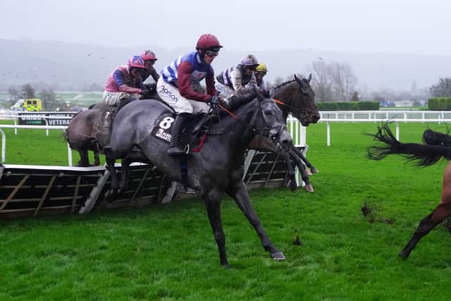 “When he won at Cheltenham it was the most miserable day but when he won like he did, it was all forgotten and we were dancing around in the rain and it could have been 28 degrees,” added McNeill.