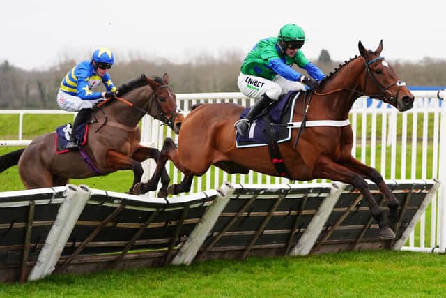 Although having downed his elders to remain unbeaten, Nicholls suggested Minella Yoga could revert to racing against his own age group in future, with a trip to Cheltenham on January 24 for the JCB Triumph Trial Juvenile Hurdle a possible appetiser for a Triumph Hurdle bid.