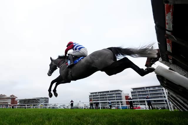 He added: “You can ask me how he compares to my other Challow winners and the likes of Bravemansgame, Denman and all those, he compares favourably with all of them. If you think three runs over hurdles and he’s won two Grade Twos and a Grade One and none of them achieved that.