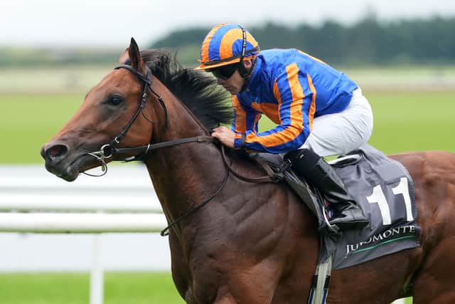 The Lion In Winter has not fulfilled expectations so far this season, having been tried over a variety of distances, but Aidan O’Brien feels he could outrun his odds on Saturday.