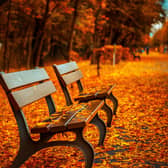 Autumn is a beautiful time for reflection
