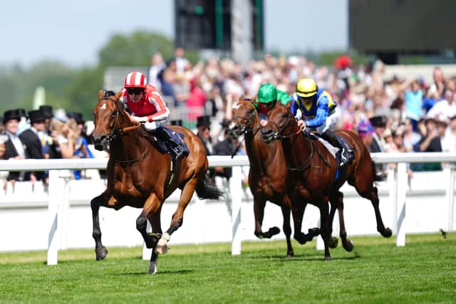 “He’s never the most exuberant work horse, he can be quite workmanlike, but we have been seeing the right signs to get him back started.”
