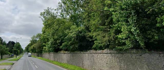 Councillor Declan Harvey has called for trees along the Charleville Road to be trimmed