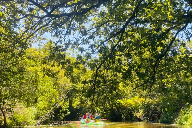 The afternoon has us back on the water, but this time for a two-hour seven kilometre paddle down the La Palue river in inland Saint-Michel-Escalus. The route, which we opt to take in double canoes, looks idyllic and is certainly breathtakingly beautiful, meandering as it does through a protected area of the Landes forest.