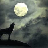 Wolves feature strongly in Irish mythology