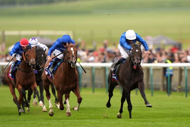 “It could be either a mile or 10 furlongs. A mile event might just become an easier option as the mile-and-a-quarter and mile-and-a-half fillies look the stronger divisions at the moment, so I would probably look for something at a mile if I could.”
