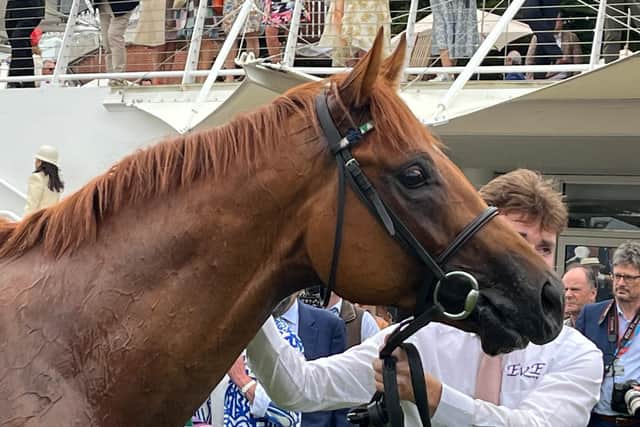 “Dad (Fulke Johnson Houghton) trained (2002 Dewhurst winner) Tout Seul when I was around, and he was brilliant, but this one would be better, I think. There’s nowhere to go now before the Dewhurst so we’ll have to wait for that.”