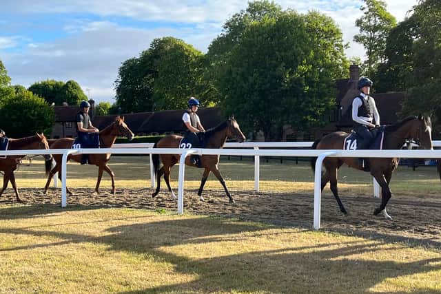 Noble Champion, a surprise but impressive winner of the Jersey at the Royal meeting last month, is one of two Walker-trained entries for the HKJC World Pool Lennox Stakes on July 29, along with his John of Gaunt Stakes scorer Ten Bob Tony.