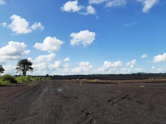 An Offaly bog