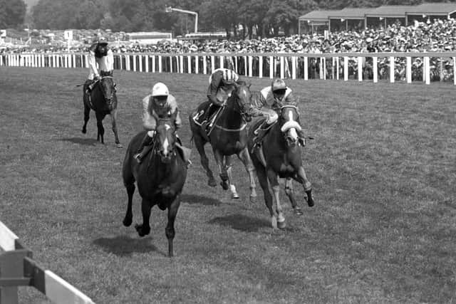 There would be many other great days together during their time, with the 65-year-old American never able to forget Gildoran providing the fitting finish to his time at Manton in the 1984 Ascot Gold Cup.