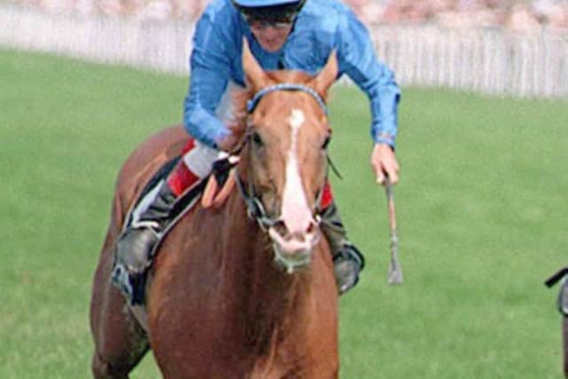 Classic heroes and Arc angel Rheingold on the list of Barry Hills giants