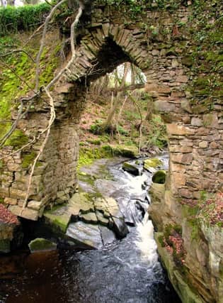 Ardara Bridge near Cadamstown has remained hidden behind scaffolding for years.