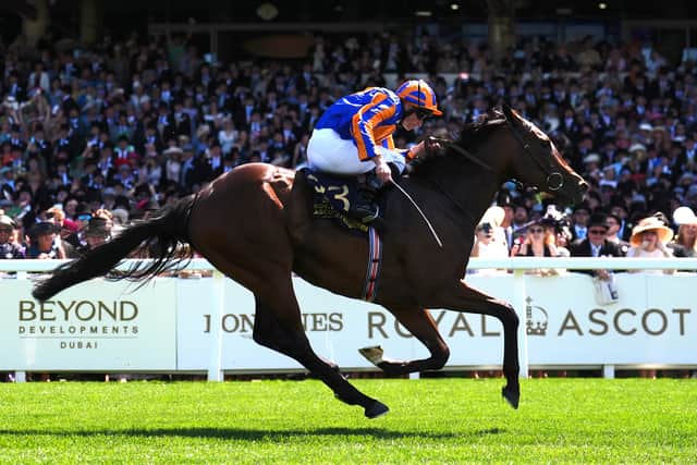True Love took some time to work her way into the race as Zelaina set a scorching early pace, but she stayed on to real effect in the final furlong to beat 100-1 shot Flowerhead, with Patrick Biancone’s American raider Lennilu third.