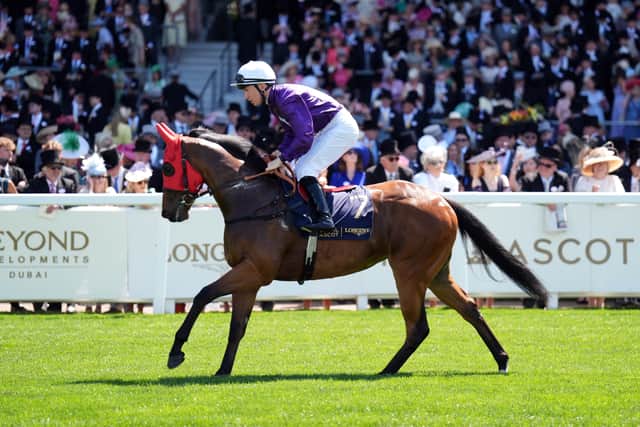 “The Queen Mary winner seems to always head to Deauville (Prix Morny) or the Curragh (Airlie Stud Stakes) and that would be the two races really or there is the Duchess of Cambridge Stakes at Newmarket in July. That may come too soon, but we will see how she is.”