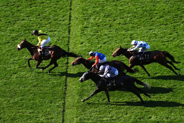 At the business end of proceedings it was Andrew Balding’s Miss Information (11-1) and the Gavin Cromwell-trained Snellen who came to the fore, with the former coming out on top by a length in the hands of Oisin Murphy.