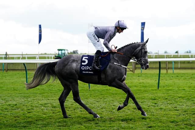 “She’s quite hot so we have a bit of work to do with her in the prelims just to keep the lid on her but if she can turn up there nice and relaxed, you would be hopeful she could run a big race. It’s always difficult to compare yours to what you might be up against but I don’t think I would be swapping this filly, that’s for sure.”