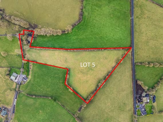 Parcel of land in Offaly shaped remarkably like mythical creature now on the market