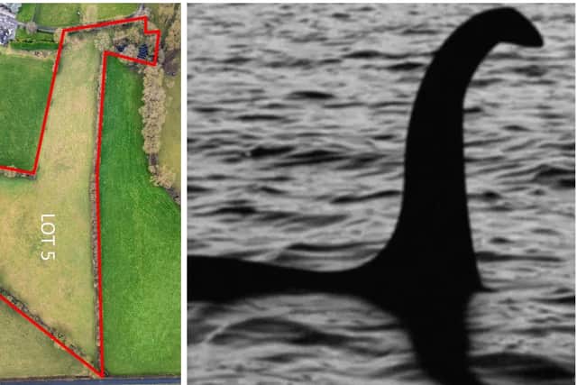 Now it might be just us but if your turn the image of this parcel of land on its side, it looks remarkably like the mythical Loch Ness Monster poking its head out of the infamous lake.