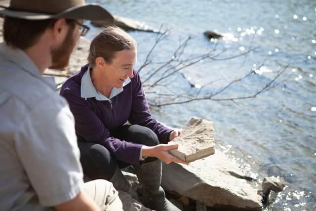 A 30-minute drive from the town of Grande Prairie, the bone bed is in a boreal forest close to a public trail and was first discovered by a school teacher walking along the creek in the mid-1970s – although proper excavations didn’t take place until a couple of decades later. Guided tours of the site, where work continues, can be arranged by the nearby Philip J. Currie Dinosaur Museum.
