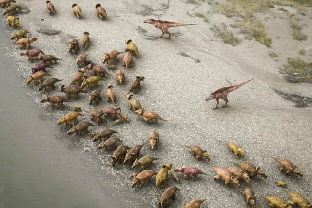 “This is a sample size we almost never find in the fossil record,” enthuses Emily. “It is a single snapshot of a community of animals from one period in time.”