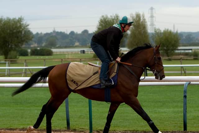Memories of the aforementioned Toast Of York are making the Heart Of Honor journey even more special for the father-and-daughter team.