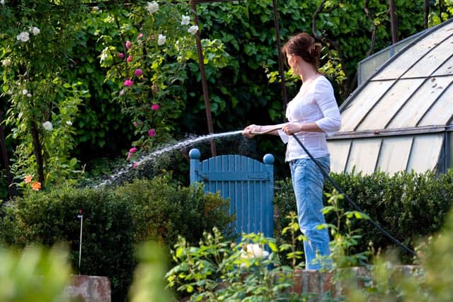 Watering the plants and soil thoroughly before and after sowing helps keep the plant nourished, and mulching around young plants can help retain moisture.