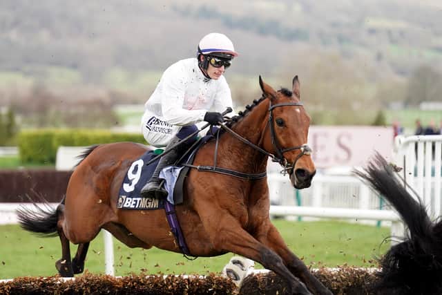 Mr Escobar added £7,290 when second in the concluding Phoenix Cycles Remember Ray Prior Handicap Hurdle to further eat into Skelton’s advantage, with Mullins finishing the day on £3,208,180 and Coral making the Irishman 1-4 to lift the UK champion trainer trophy for the second time at Sandown next Saturday.