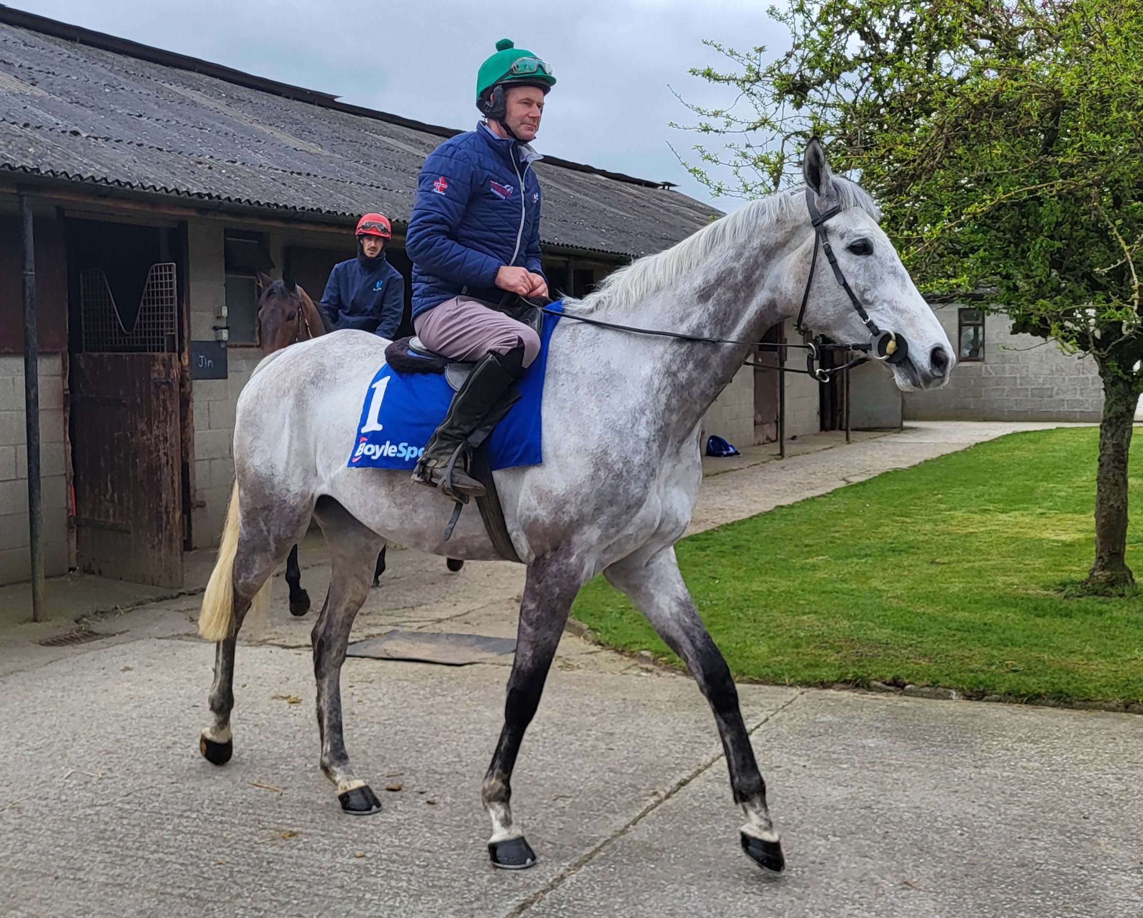 Gibney happy to handle Intense pressure of training National favourite