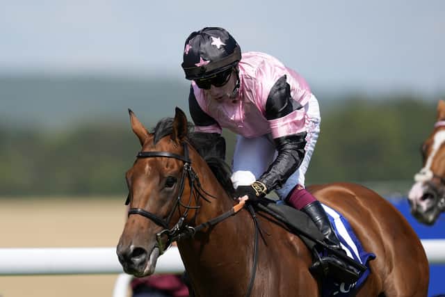 “I don’t think he’ll want extremes of ground, but anything like good to soft should suit him. A big field should suit him, too.”