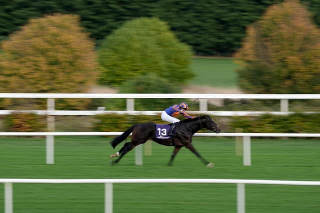 “What Twain and Expanded did last year was quite unusual,” said O’Brien. “They both came out late, then a few days later were back out in Group Ones.