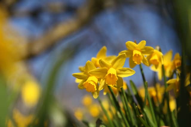 “Prolonged sun exposure can accelerate oxidative stress, dehydrating the skin, which leads to an uneven tone,” explains Isaacs. “All of which contribute to a dull complexion. The best defence is daily broad-spectrum SPF.”