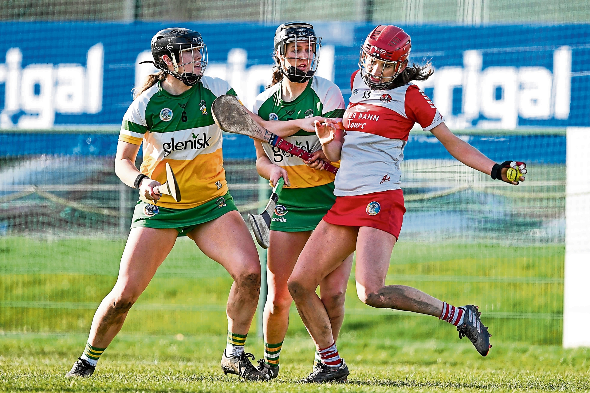 Offaly continue winning start with impressive performance on long trip ...