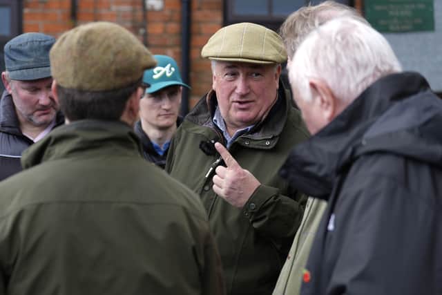 Many in the weighing room will testify that riding a Paul Nicholls-trained runner at the Cheltenham Festival will always bring its pressures, so the younger Nicholls could be forgiven for panicking when Shearer’s trainer revealed her mount was his only ante-post bet for Cheltenham at a pre-Festival media event.