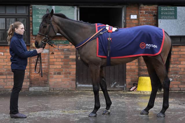 “I think if you run horses in the wrong races, you end up doing the wrong thing. It is very hard to find those horses now.”