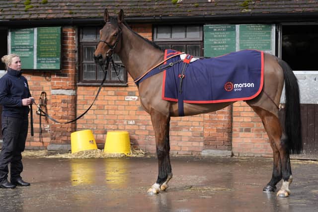 “There’s horses with chances, but I’d say we’ll have a bigger team for Aintree, which seems to suit our horses more. I’ve got five nice horses to run in the National, which is very exciting.”