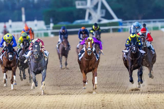 While disappointed to be beaten, Osborne feels his charge merits a step up to Group Two level on Dubai World Cup night for a race the Lambourn handler memorably landed with his subsequent Breeders’ Cup Classic runner-up Toast Of New York 11 years ago.