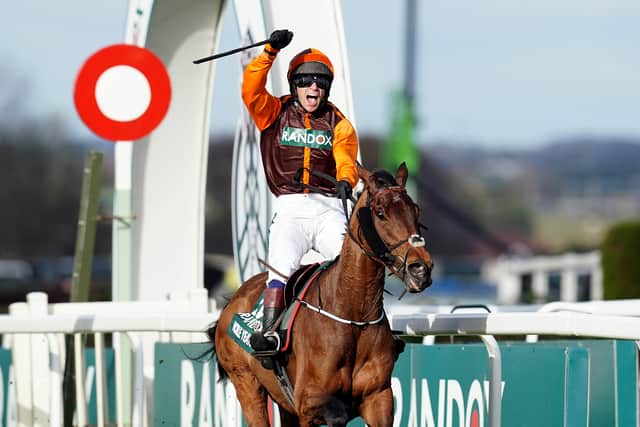 “He’s been an absolute star for us and out in the field currently we have Long Run, Oscar Time and Liberthine, so if he was to retire he would be able to be quietly ridden around the farm.