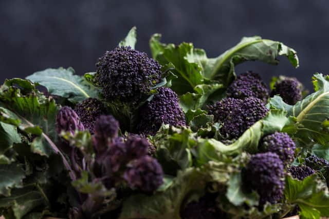 Purple sprouting broccoli