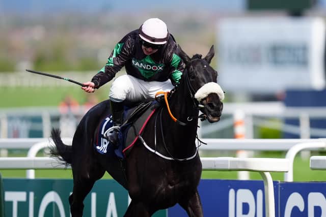 “He’s probably the flag bearer for myself and Fergal and our new link-up. He’s a very important horse for both of us and hopefully he can put all the Cheltenham doubts to bed on Saturday.”