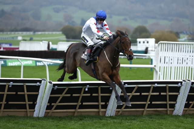 “I’ve ridden in a lot of juvenile hurdles this season, but what is nice about East India Road is he stays well and can deal with slower ground nicely and this race won’t do him any harm in gaining a bit more experience before hopefully the Friday of Cheltenham.”
