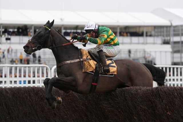 “There’s rain forecast and that will suit him, he doesn’t mind soft ground at all.”