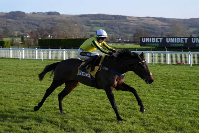 “East India Dock will be quite lazy at home and will only just beat the horse he works with. He occasionally works with Burdett Road and can’t beat him, but he does the others and he’s just got such a good attitude.
