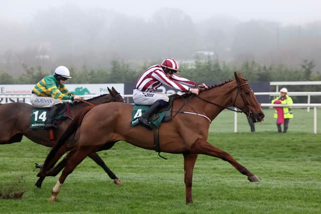 No matter whether Jeannot Lapin heads to Windsor or Leopardstown for his next start, it appears a trip to the Cheltenham Festival is off the cards this season, with O’Loughlin eager to mind his raw and inexperienced chasing prospect.