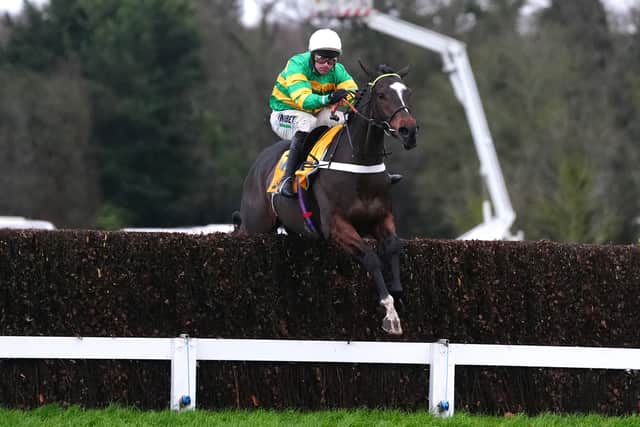 In 19 career starts for the Seven Barrows team he has won 16, with his only defeats coming against Constitution Hill in the Supreme Novices’ Hurdle, El Fabiolo in the Arkle and Elixir De Nutz in this race when it was rearranged for Cheltenham last season, when he almost fell on more than one occasion.