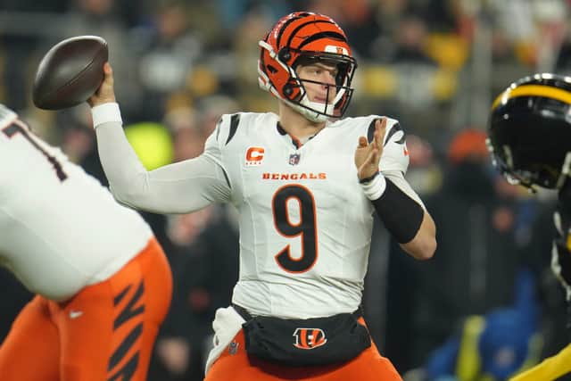 Victory in their last four matches saw the Ravens overturn a two-game deficit on the Steelers to claim the divisional crown.