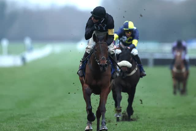“I said ‘OK, I’m prepared to crack on’, and obviously that was a risk as well, as a horse is only a day away from getting injured. I said to Dan ‘let’s try to make a target of trying to win a Grade One’ and he said he thought it was definitely achievable with the ammunition we’ve got.”