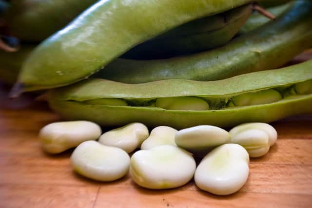 Broad beans