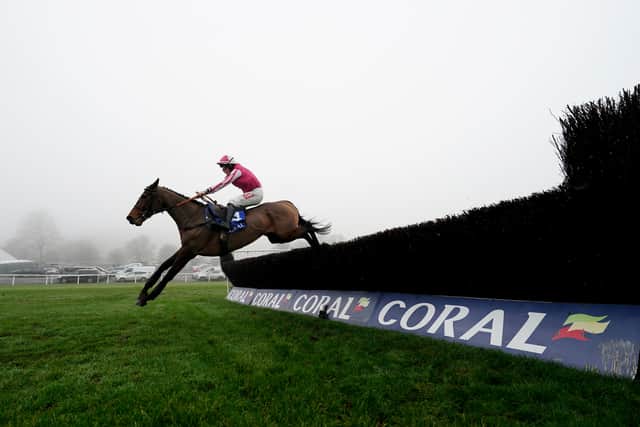 “It is a difficult decision as there is a lot of stuff to take on board. This horse has got a future and sometimes you have to do the sensible thing and let him do what he’s going to do. I think he has done his work and that could be it.”
