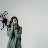 Arachnophobia, the fear of spiders, is one of the best known phobias