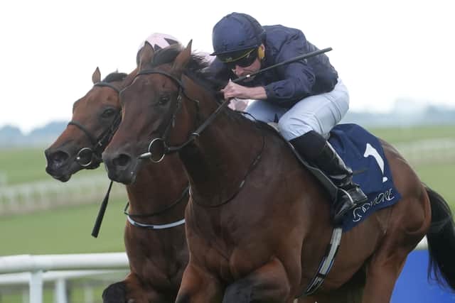 “Both of the horses we brought out here I feel are crying out for the mile.”